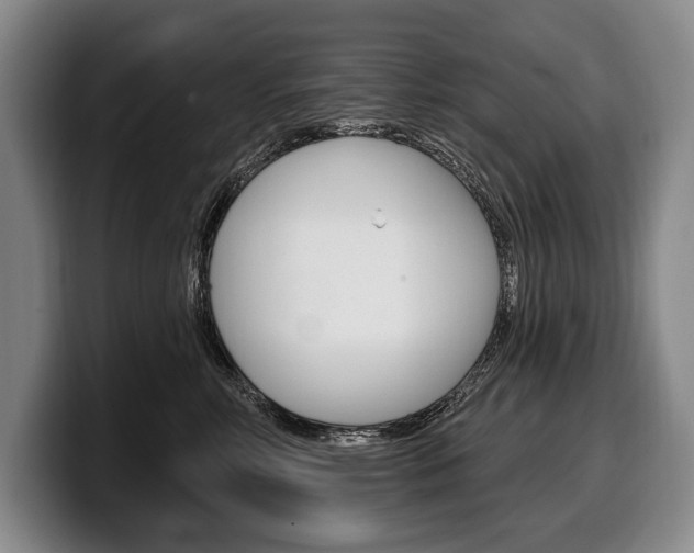 X0000100330618200806051205