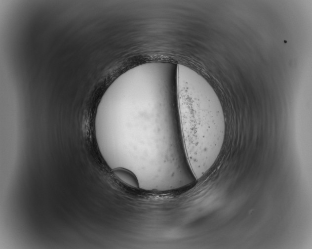 X0000100330619200806051205