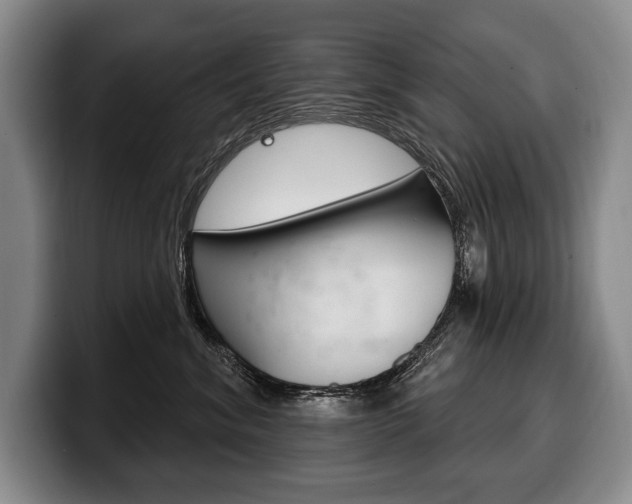 X0000100330620200806051205