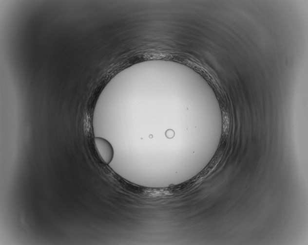 X0000100330621200806051205
