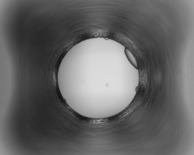 X0000100330622200806051205