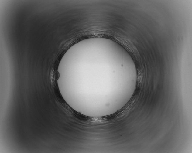X0000100330623200806051205
