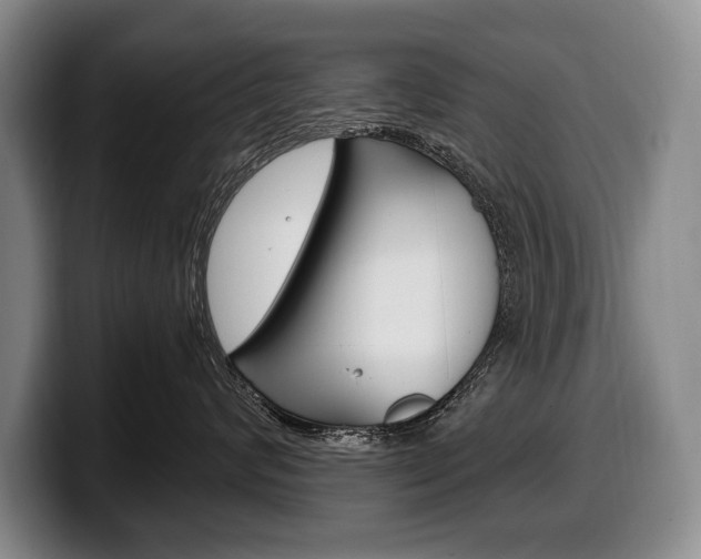 X0000100330624200806051205