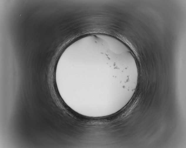 X0000100330625200806051204
