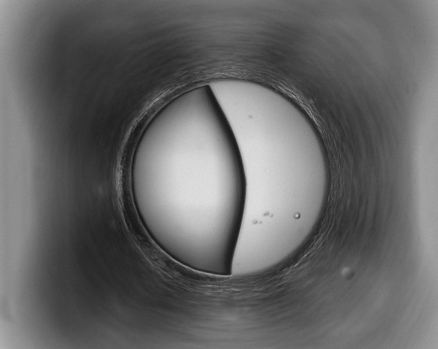 X0000100330626200806051204