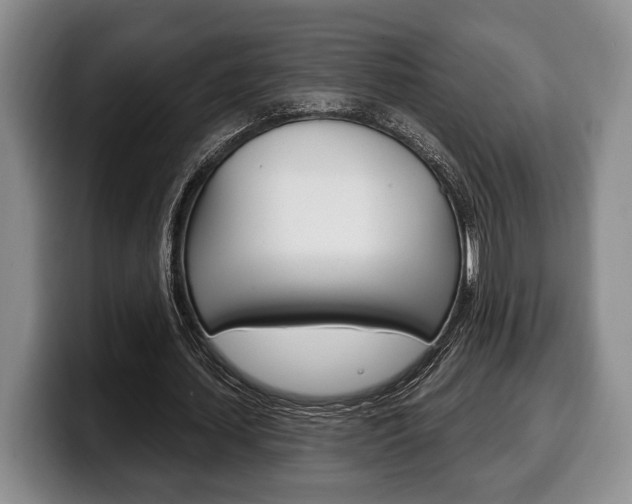 X0000100330627200806051204