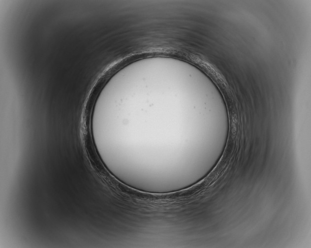 X0000100330628200806051204
