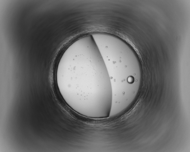 X0000100330629200806051204
