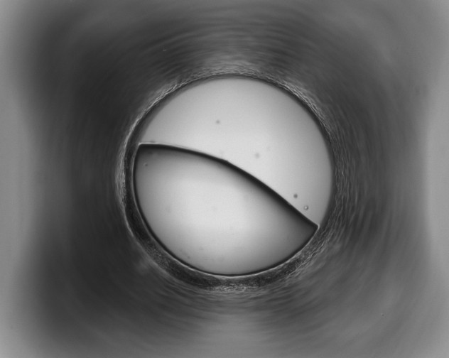 X0000100330630200806051204