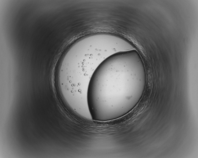 X0000100330631200806051204