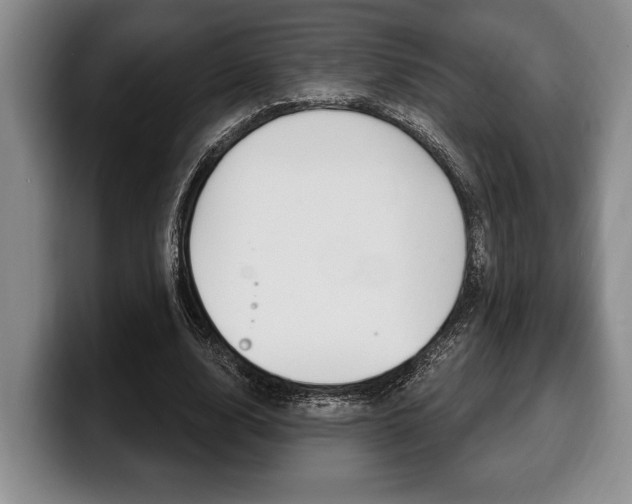 X0000100330632200806051204