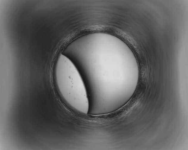 X0000100330633200806051204