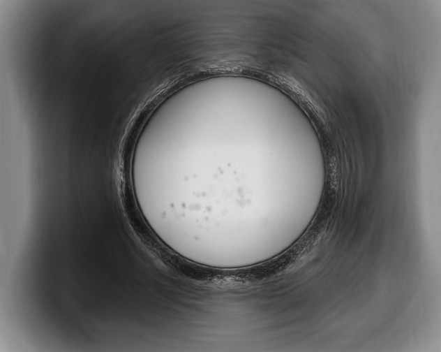 X0000100330634200806051204