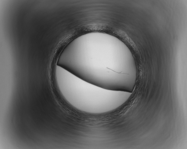 X0000100330635200806051204