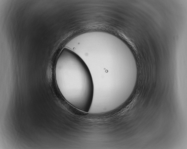 X0000100330637200806051204
