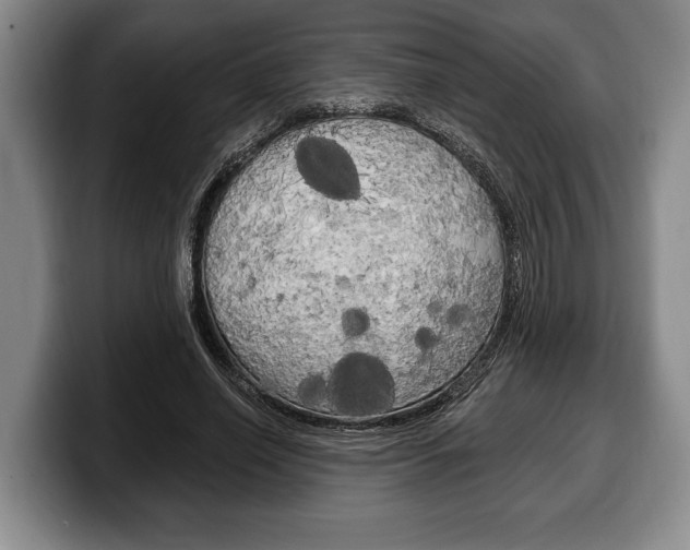 X0000100330638200806051204