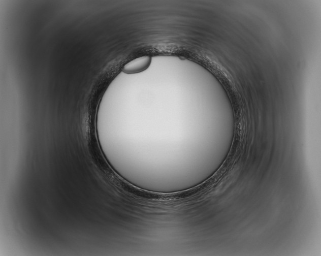 X0000100330639200806051204