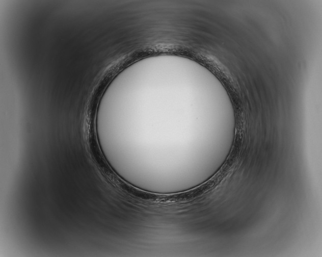 X0000100330640200806051204