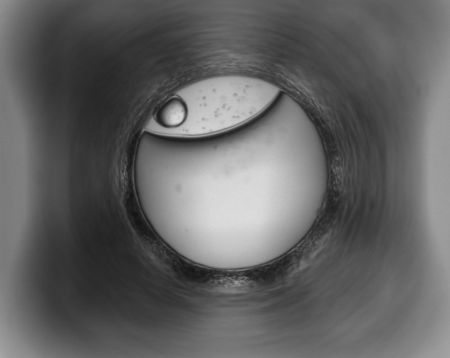 X0000100330642200806051204