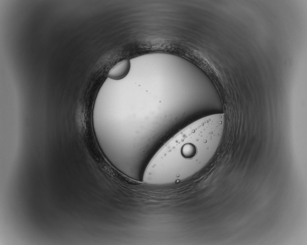 X0000100330643200806051204