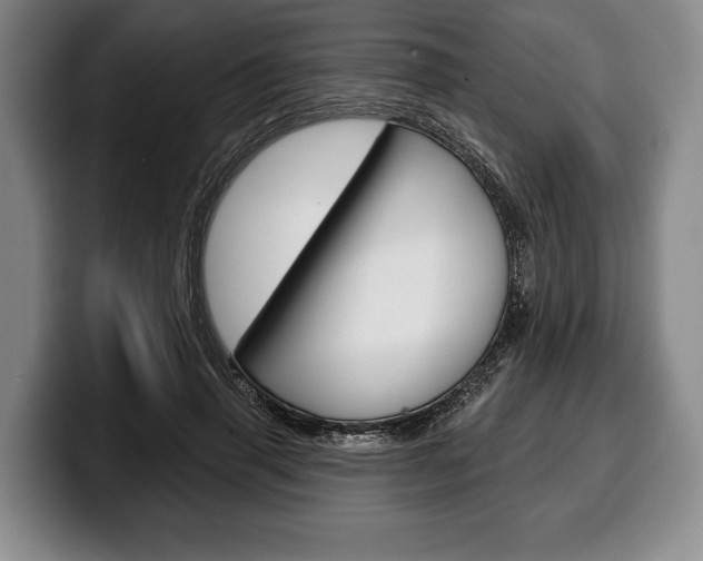 X0000100330645200806051204