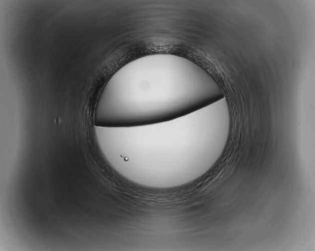 X0000100330647200806051204