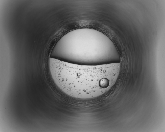 X0000100330648200806051204