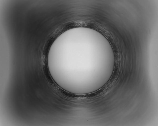 X0000100330649200806051204