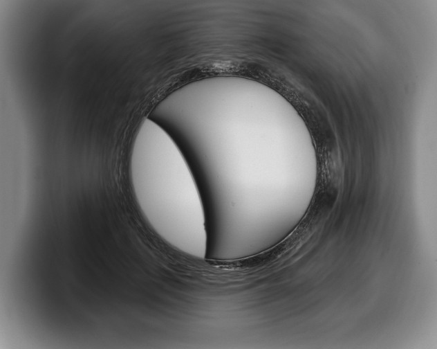 X0000100330651200806051204