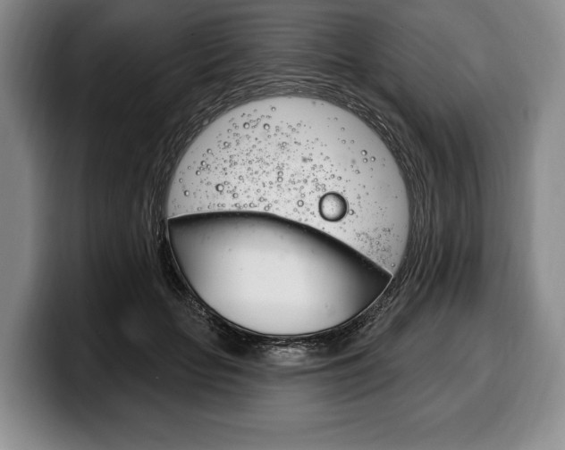 X0000100330653200806051204