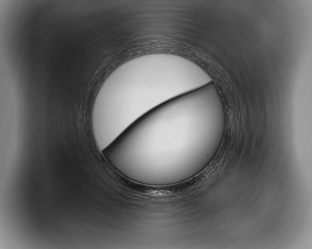 X0000100330654200806051205