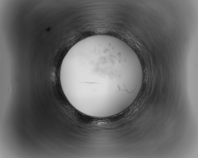 X0000100330655200806051205