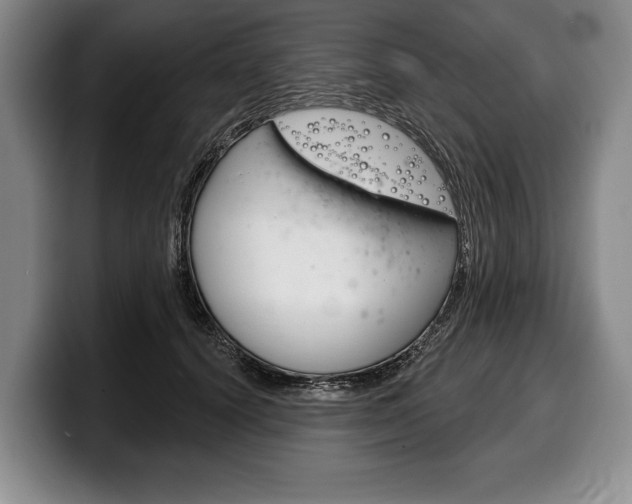 X0000100330656200806051205