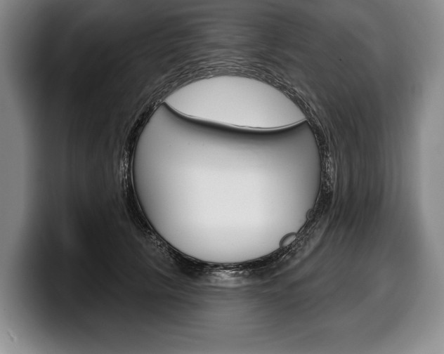 X0000100330657200806051205