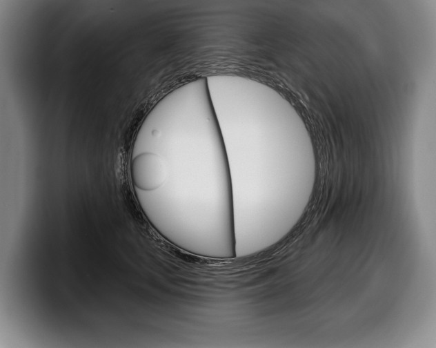 X0000100330659200806051205