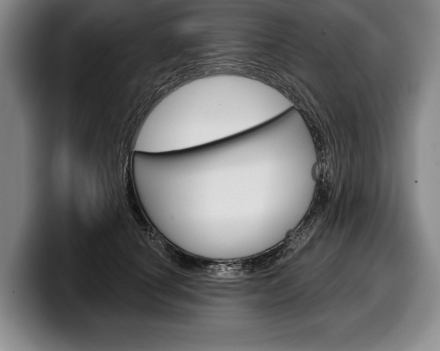 X0000100330660200806051205