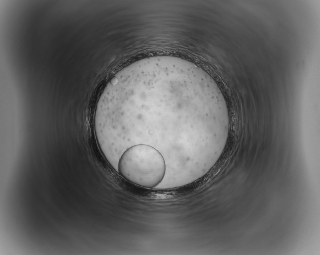 X0000100330662200806051205