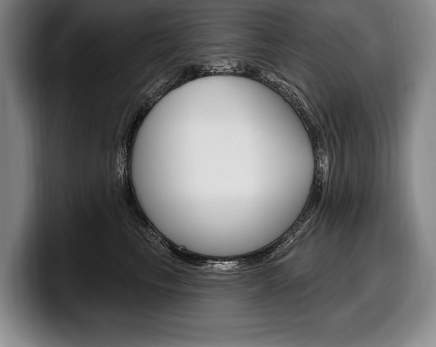 X0000100330665200806051205
