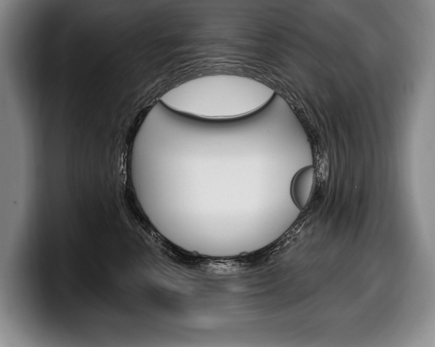 X0000100330666200806051205