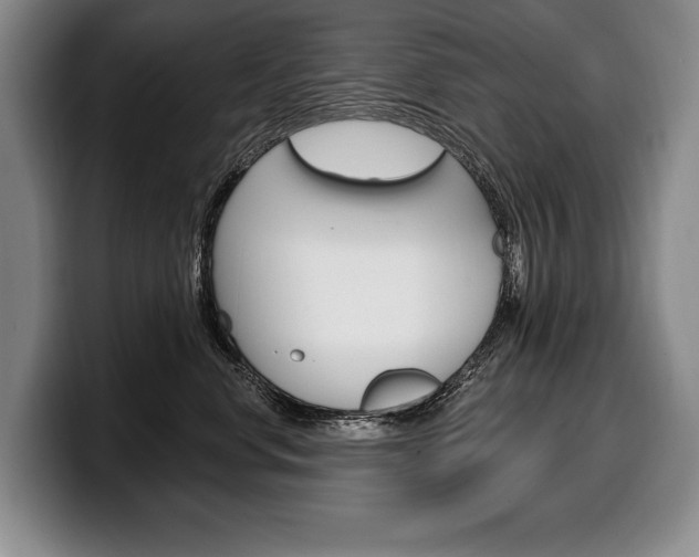 X0000100330668200806051205