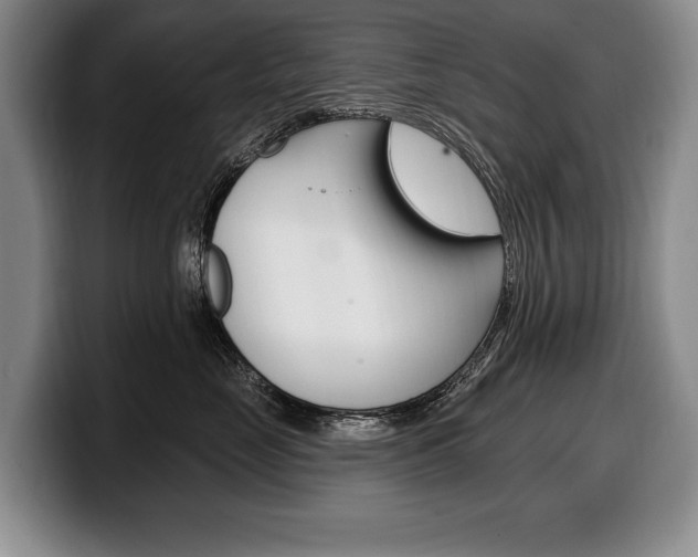 X0000100330669200806051205