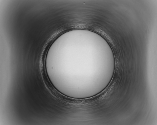 X0000100330674200806051204