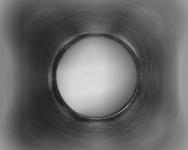 X0000100330677200806051204