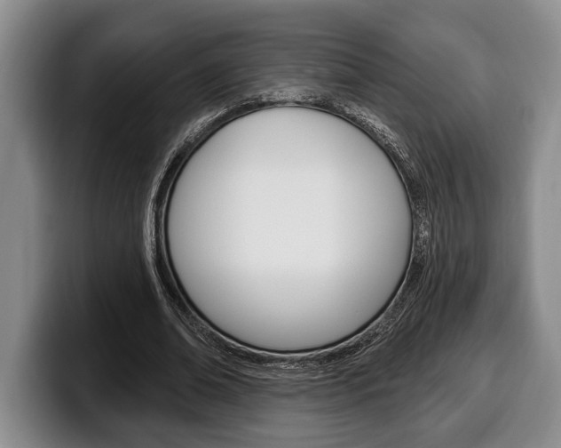 X0000100330678200806051204