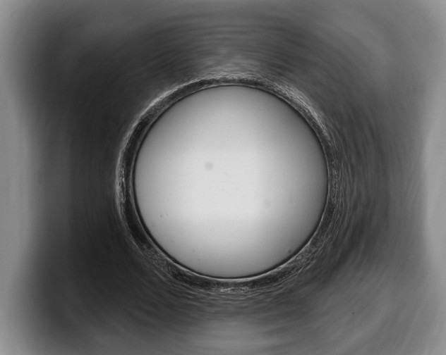 X0000100330680200806051204