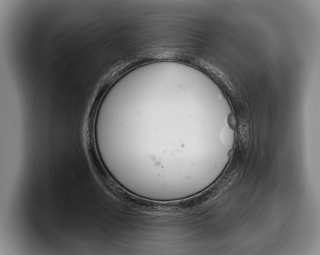 X0000100330682200806051204