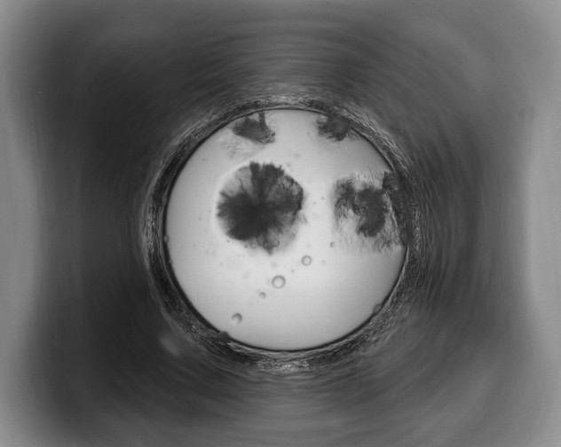 X0000100330683200806051204