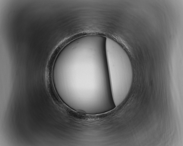X0000100330684200806051204
