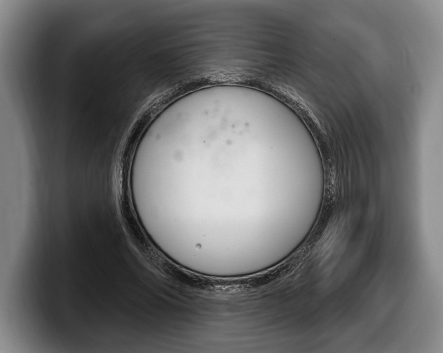 X0000100330686200806051204