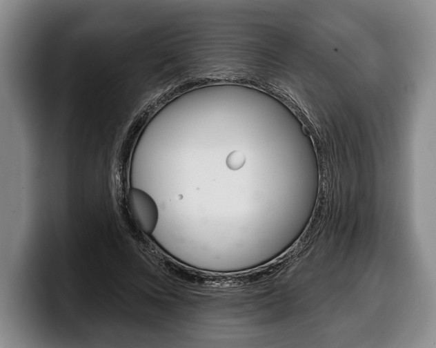 X0000100330688200806051204